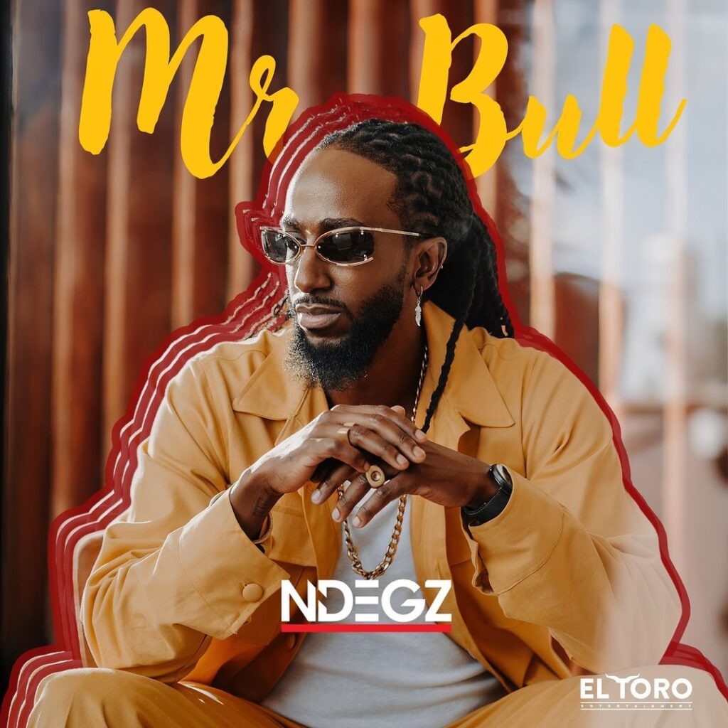 Kenyan Afro-Pop Star Ndegz Releases Debut EP ‘Mr.Bull’